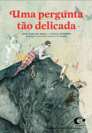 Imagem7